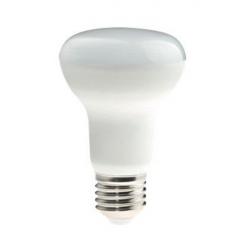 Ampoule LED  8W