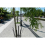 /caniveaux-de-drainage/caniveau-de-drainage-eaux-pluviales-bg-filcoten-tec-avec-cornieres-dn-100-150-200-mm-p-6002077.9-600x600.jpg
