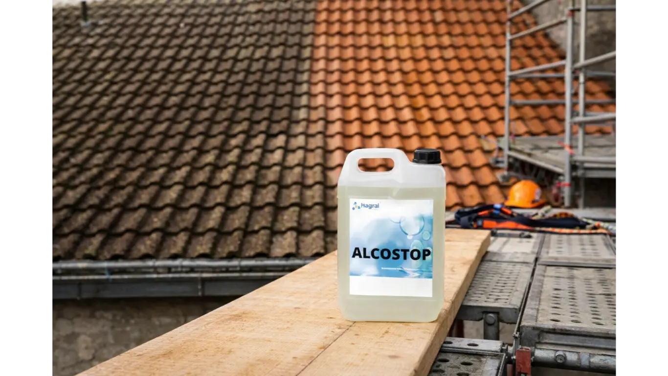 Produit nettoyant toit