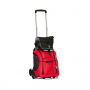 /diables-professionnels/diable-aluminium-repliable-de-50-a-250kg-p-3371255.4-600x600.jpg