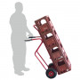 /diables-professionnels/diable-charges-hautes-bavette-fixe-tablier-incurve-250kg-p-3371183.5-600x600.jpg