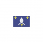 /drapeaux-kit-peillon-signaletique-officielle/drapeau-de-province-historique-saintonge-p-5001642.1-600x600.jpg