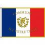 /drapeaux-kit-peillon-signaletique-officielle/pavillon-de-facade-francais-avec-rf-palmes-p-5001339.1-600x600.jpg