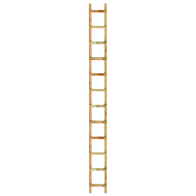Echelle de toit en bois, longueur 2 à 6 mètres