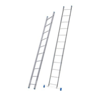 Échelle STARLINE simple droite