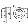 /ecrous/ecrous-a-embase-crantee-inox-a2-din-6923-p-3002954.1-600x600.jpg