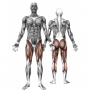 /element-sportif-en-acier-inoxydable/element-de-musculation-exterieur-extension-jambes-p-3005213.1-600x600.jpg