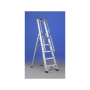 /escabeau-professionnel/escabeau-professionnel-regina-special-en-aluminium-p-5001459.2-600x600.jpg