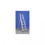 /escabeau-professionnel/escabeau-professionnel-regina-special-en-aluminium-p-5001459.4-600x600.jpg