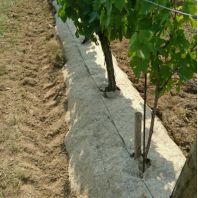 Paillage en chanvre pour les vignes