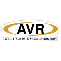 Régulateur de tension électronique AVR