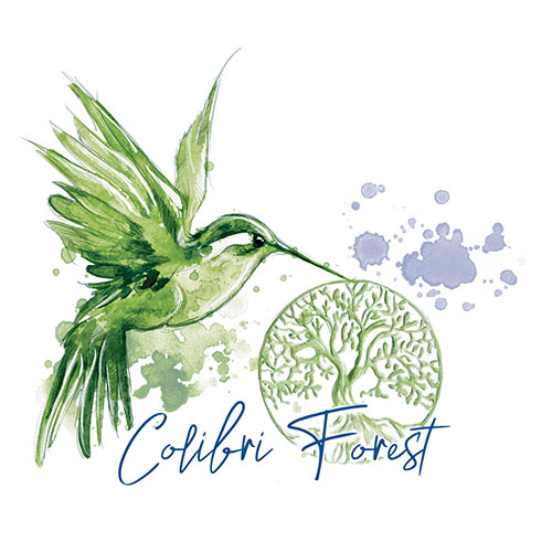 Notre partenariat avec Colibri Forest