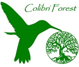 Colibri Forest