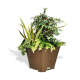Jardinière Dara acier 745 x 745 x 500 mm