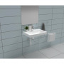 /lavabos-pmr/lavabo-complet-reglable-springline-p-6003294.2-600x600.jpg