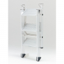 /marche-pied-pliant/marchepied-professionnel-pliant-confort-pliant-p-5001199.8-600x600.jpg
