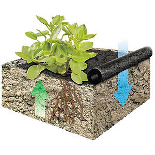 Cover pro noire Toile de paillage anti mauvaises herbes - Achetez en ligne  sur