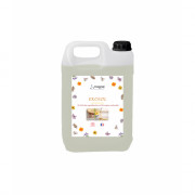 Nettoyant éco-responsable pour sols et surfaces, efficace et naturel