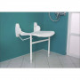 /siege-de-douche-et-appui-relevable-pmr/siege-de-douche-mural-rabattable-avec-bequille-p-6003333.1-600x600.jpg