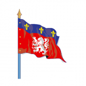 Drapeau de province historique Lyonnais