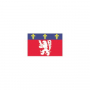 /signaletique-officielle-et-institutionnelle/drapeau-de-province-historique-lyonnais-p-5001623.1-600x600.jpg