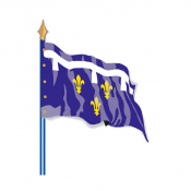 Drapeau de province historique Orléanais