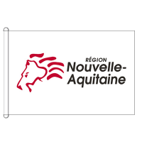 Drapeau de région administrative Nouvelle Aquitaine Drapeau de région administrative Nouvelle Aquitaine