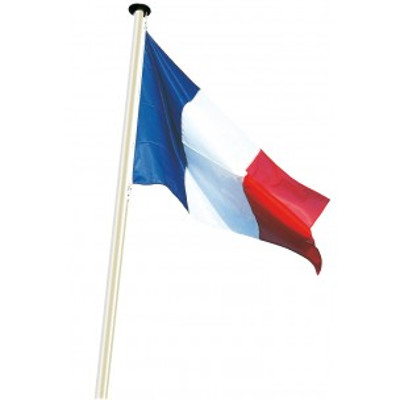 Drapeaux institutionnels français sur pavillons