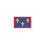 Oriflamme de province historique Anjou