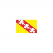 Oriflamme de province historique Lorraine