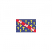 Oriflamme de province historique Marche