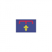 Oriflamme de province historique Provence Armes