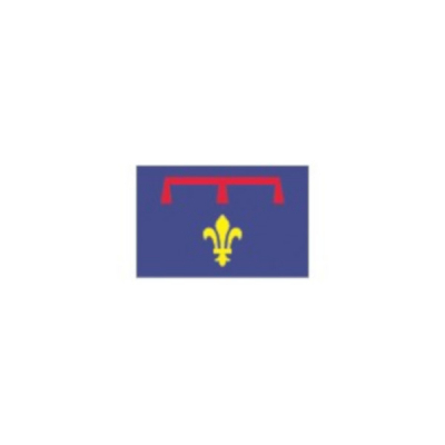 Oriflamme de province historique Provence Armes