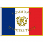 /signaletique-officielle-et-institutionnelle/pavillon-de-facade-francais-avec-rf-palmes-p-5001339.1-600x600.jpg