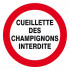 Imprimer la page produit