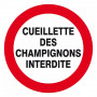 Panneau Cueillette des Champignons Interdite – Signalisation Sécurité Conforme ISO – Commander