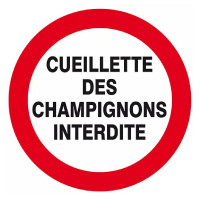Panneau Cueillette des Champignons Interdite – Signalisation Sécurité Conforme ISO – Commander Panneau Cueillette des Champignons Interdite – Signalisation Sécurité Conforme ISO – Commander