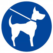  Signal Chien en Laisse Obligatoire – Sécurité Publique – Conforme ISO