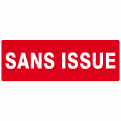 Panneau Sans Issue (Incendie) – Signal Sécurité Conforme ISO 7010