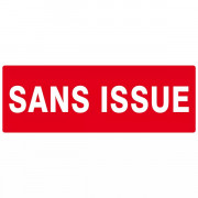 Panneau Sans Issue (Incendie) – Signal Sécurité Conforme ISO 7010