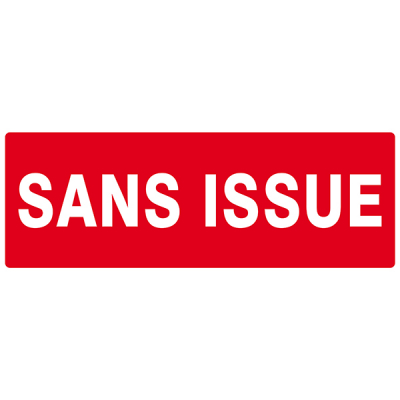 Panneau Sans Issue (Incendie) – Signal Sécurité Conforme ISO 7010