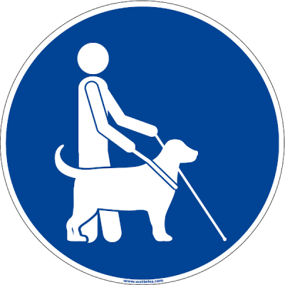 Signalétique accessibilité sol "chien guide" - Wattelez