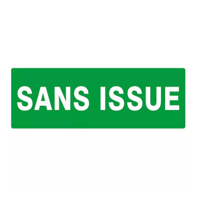 Panneau Sans Issue (Secours) – Signalétique conforme ISO 7010