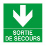 Panneau “Sortie de secours” flèche bas – Signalétique sécurité – Conforme ISO 7010