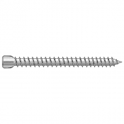 Vis d'ancrage tête cylindrique TX25