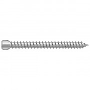 Vis d'ancrage tête cylindrique TX25