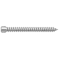 Vis d'ancrage tête cylindrique TX25 Vis d'ancrage tête cylindrique TX25