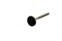 /visserie-pointes-specifiques/pointe-parapluie-inox-18/10-4-0mm-dimos-p-6005884.4-600x600.png