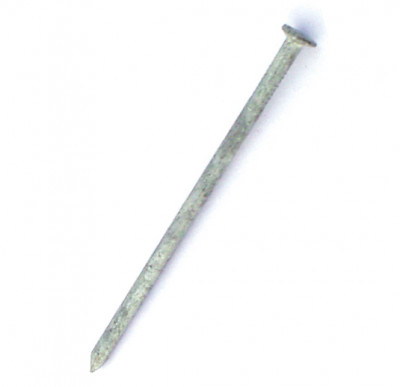 Pointe tête plate Ø3.0mm – Dimos