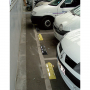 /voirie-et-stationnement/separateurs-de-voies-pargom-p-3002717.1-600x600.jpg